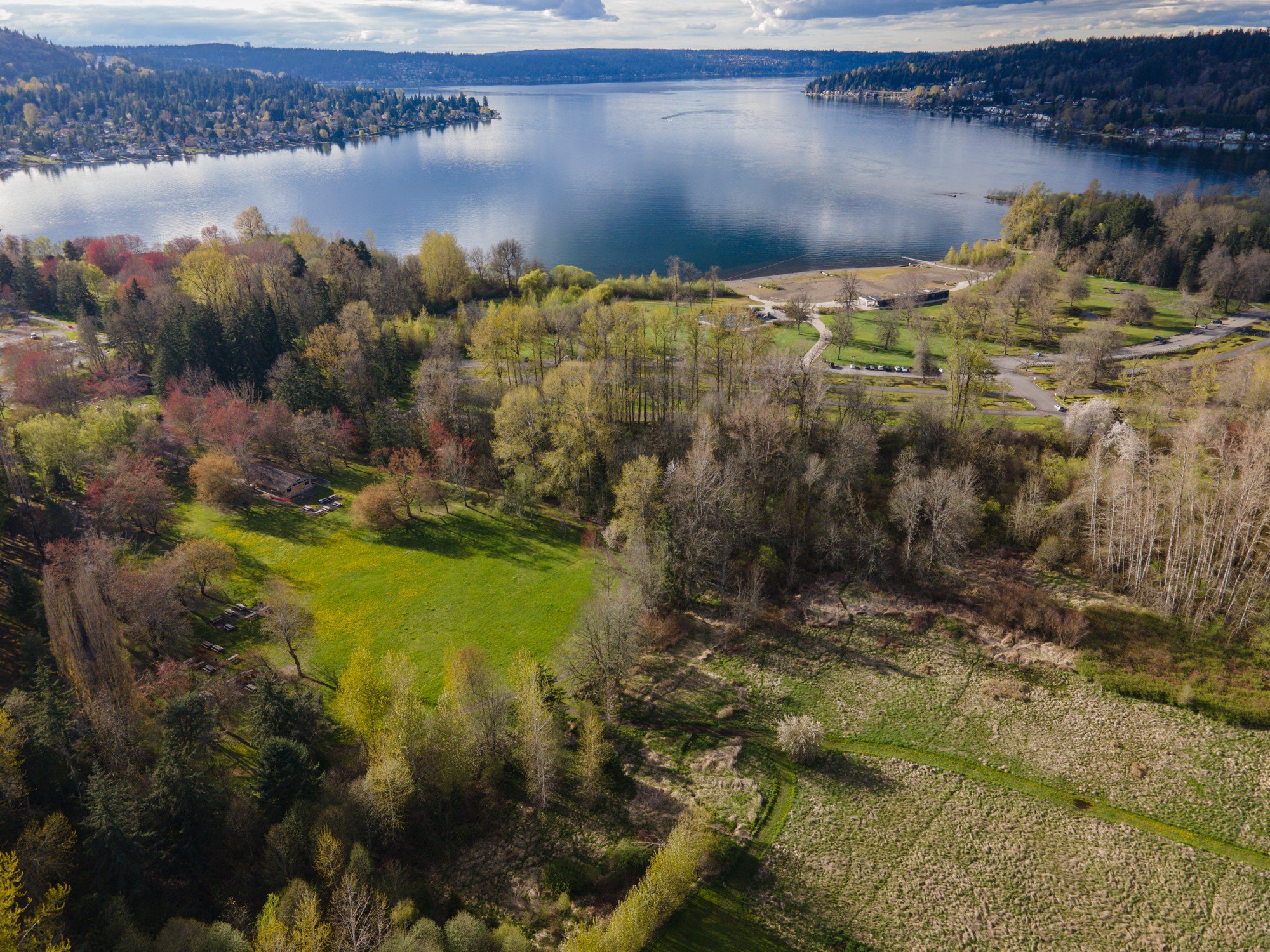Aerial view of Lake Sammamish State Park meadows and spring trees beside a calm lake
