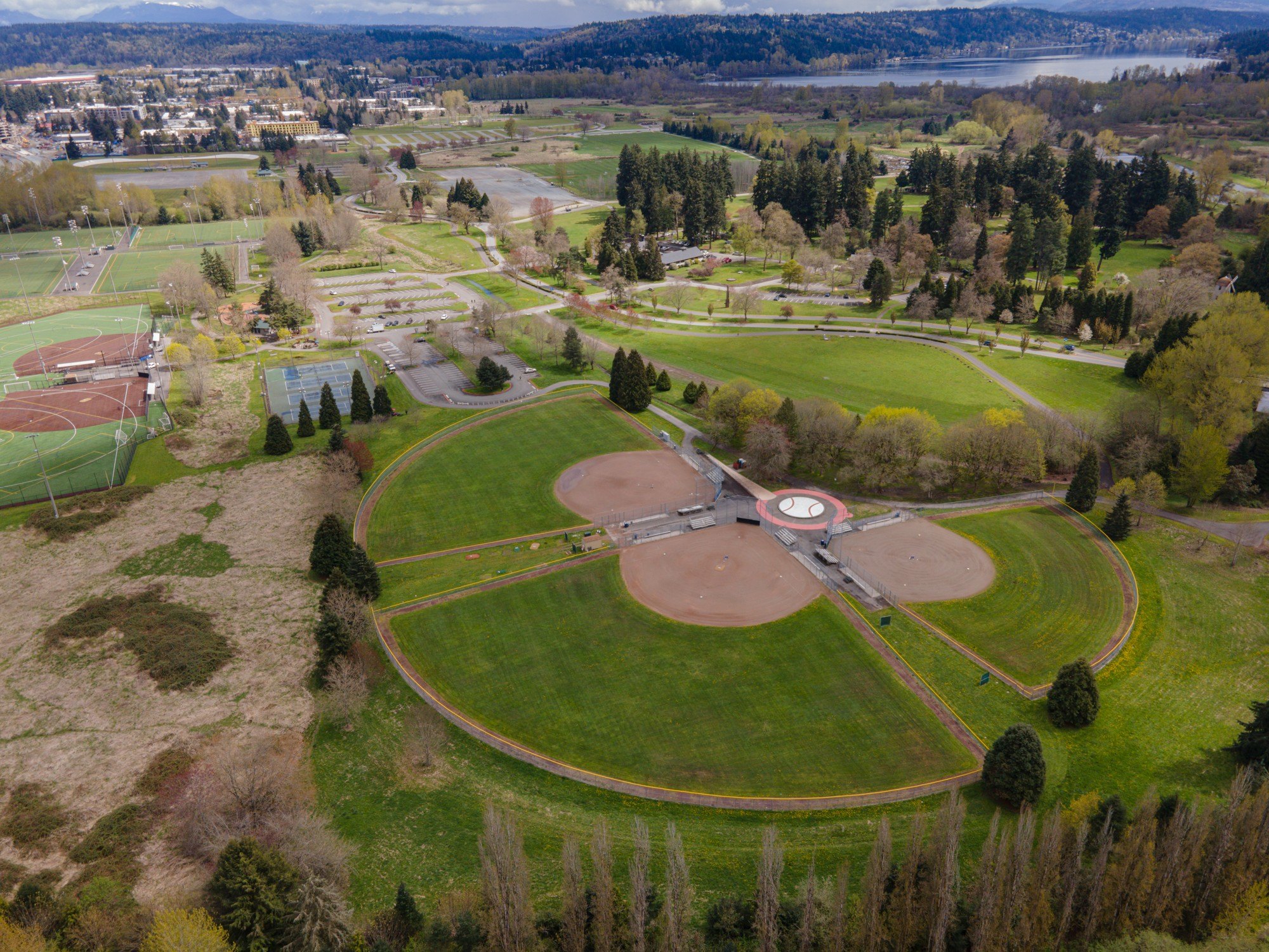 Aerial view of Marymoor Park ballfields, meadows and trees with Lake Sammamish beyond