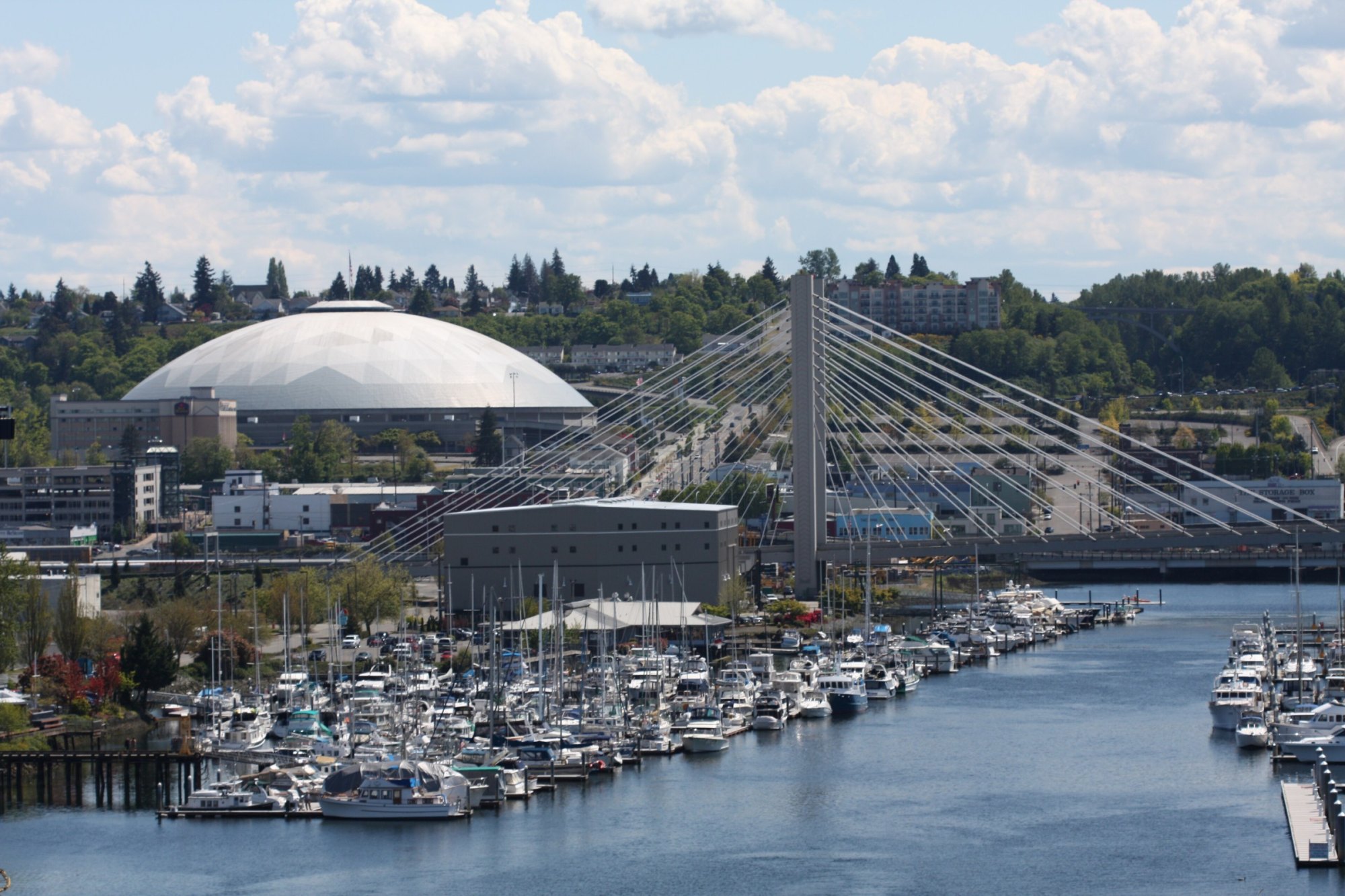 Tacoma Dome and cable-stayed bridge rising behind a marina full of boats on the waterway