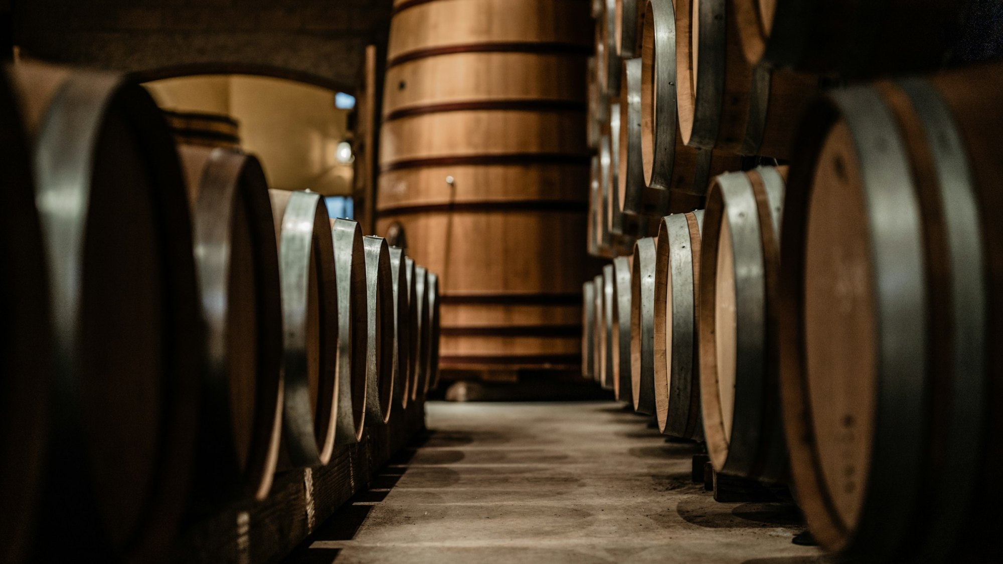 Rows of oak wine barrels and a tall wooden vat in a dim winery cellar